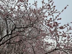 -北京奥林匹克公园