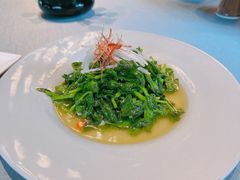 火丝银芽豆苗-江南雅厨(李公堤店)
