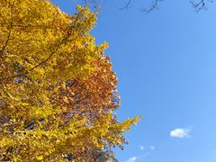 -秦岭终南山世界地质公园翠华山景区
