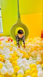 -宝燕乐园(闵行旗舰店)