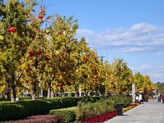 -DQ·蛋糕·冰淇淋(湖景东路店)