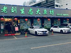 -老刘生态大鱼坊铁锅炖鱼(赛马场店)