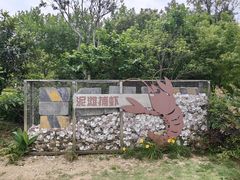 -昆山城市生态森林公园