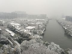 -运河游船(武林门码头)