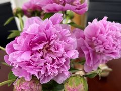 -中国移动(永兴路营业厅)