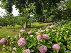 -采石矶景区
