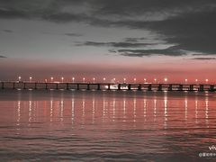 -宝安西湾红树林湿地公园