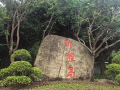 -野狸岛