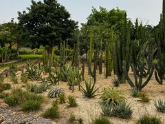 -东莞植物园