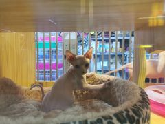 -三旗百汇商品城