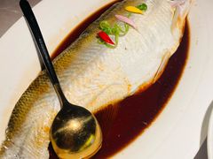 -醉庐·新上海菜(南京西路店)