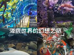 -太平洋海底世界