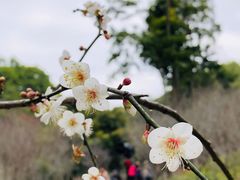 -广州市白云山风景名胜区