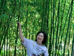 -抚松斋
