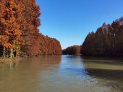 -上海海湾国家森林公园