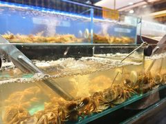 -苏格里岛自助烤肉海鲜火锅(成都金牛万达店)