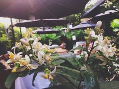 T馆-T館·花园艺术餐厅