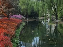 -白塘生态植物园