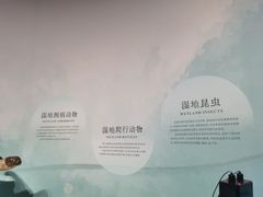 -中国湿地博物馆