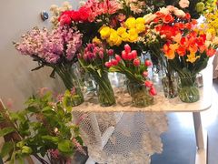 -dotcom coffee古点咖啡(致真大厦店)
