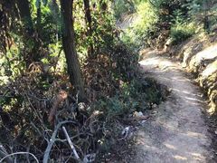 -江西阳明山国家森林公园