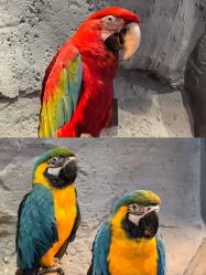 -Zoolung Zoolung动物主题公园(海信广场店)