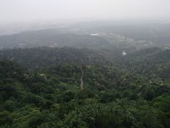-天花井景区