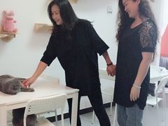 -我爱猫咪·猫咖·狗咖·安哥拉兔·羊驼咖(小寨华旗店)