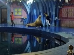 -华夏文旅海洋公园