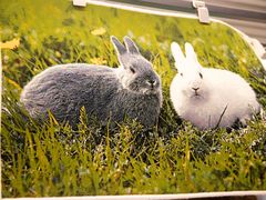 -横琴购口岸商业广场