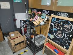 -狂想局密室逃脱(宝山万达店)