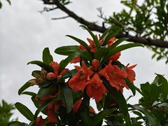 -大雁塔北广场音乐喷泉