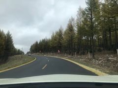 -塞罕坝国家级自然保护区