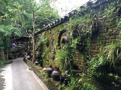 -青城甲(青城山店)