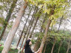 -白鹭湾湿地公园