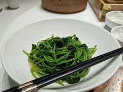 -院里寻菜·精致庭院菜(观沙岭店)