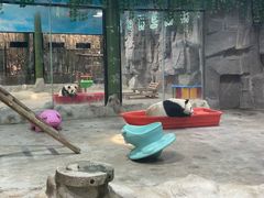 -栾川竹海野生动物园