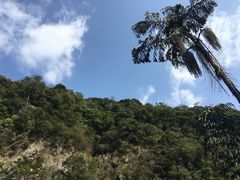-鼎湖山风景区