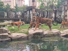 -上海野生动物园