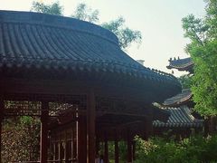 -迎泽公园