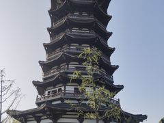 -洋湖国家湿地公园