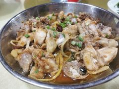 -鲤鱼塘农家山庄