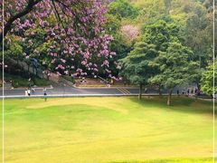 -广州市白云山风景名胜区