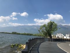 -大理洱海