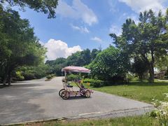 -南宁花花大世界景区