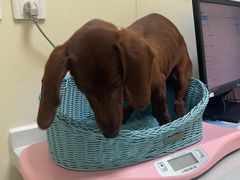 -纳吉亚猫专科动物医院博雅分院
