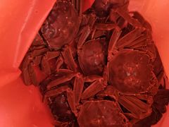 -芦潮港集贸市场