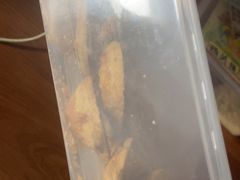 -赞记龙凤礼饼(宝源路店)