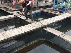 -海上驿站渔家菜馆