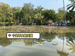 -中国科学院西双版纳热带植物园